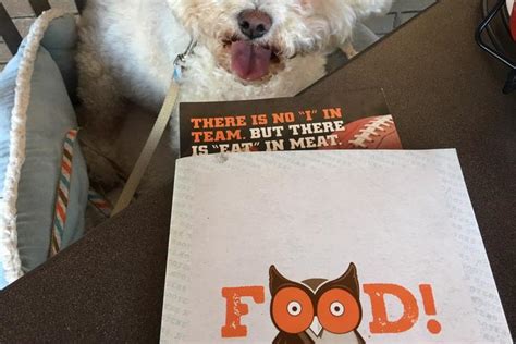 pet friendly hotels beaumont tx|The 10 best pet.